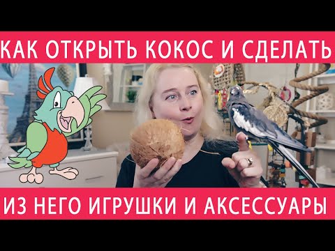 КАК СДЕЛАТЬ ИГРУШКИ И АКСЕССУАРЫ ДЛЯ ПОПУГАЯ ИЗ КОКОСА СВОИМИ РУКАМИ
