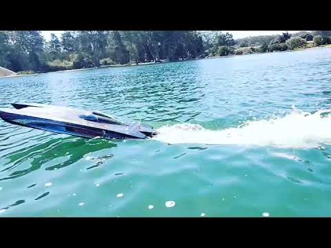 Oxidean Marine Animal Twin Cat Worlds Fastest RTR rc Boat!