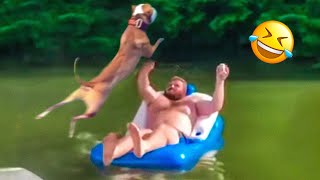 Funny Animal Videos 2023 😁 - Funniest Dogs and Cats Videos 😇 #1