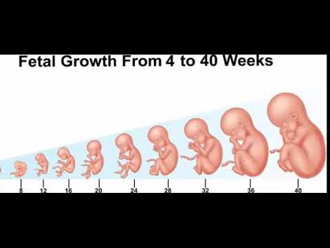 Waxbadan ka ogow caafimaadka hooyada uurka leh (Daawo)