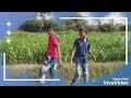 Age Pilla Song Stutas Video P D Y