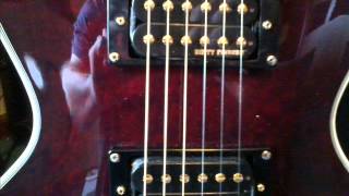 Ozzy That I Never Had