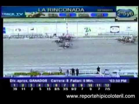 Resumen Sábado 22 de Octubre de 2011 - La Rinconada