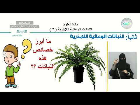 فيديو تعليمي