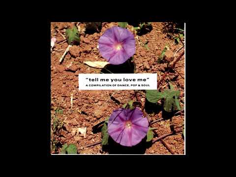 John Peel's Anhrefn & The Mad Professor In Dub - Bach Dy Ben