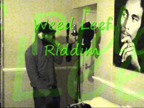 Kreepa in the studio.wmv