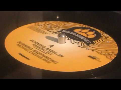 RANKING DEE ~ Burning Babylon + MICHAEL EXODUS ~ Burning Babywrong [Remix]