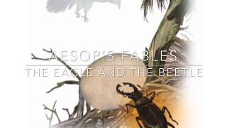 Aesop’s Fables The Eagle and the Beetle Narrated by Jon Wilkins