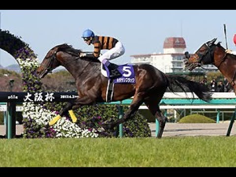 2017 JRA Osaka Hai _ KITASAN BLACK