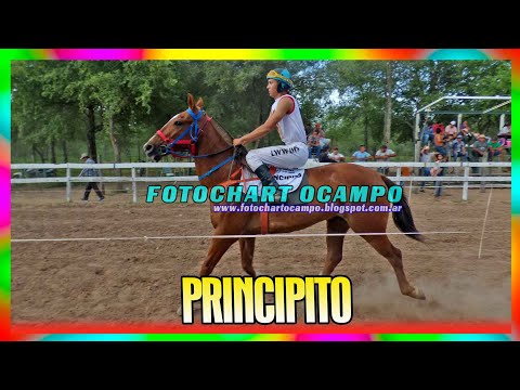 PRINCIPITO - Campo Gallo - Santiago del Estero 23/12/2023