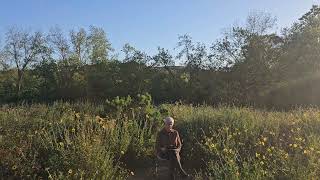 Episode 3: True Happiness