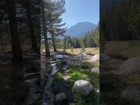 Sounds Of The Sierra Nevada On The Pacific Crest Trail