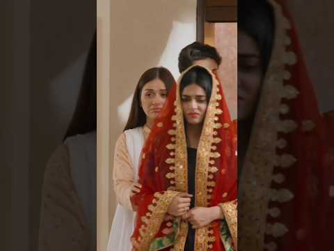 Fairy Tale EP 25 #shorts #trendingshorts #fairytale