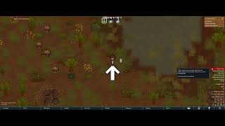 Video 5
