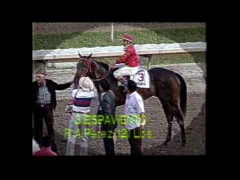 Espaviento - Copa Confraternidad 1991