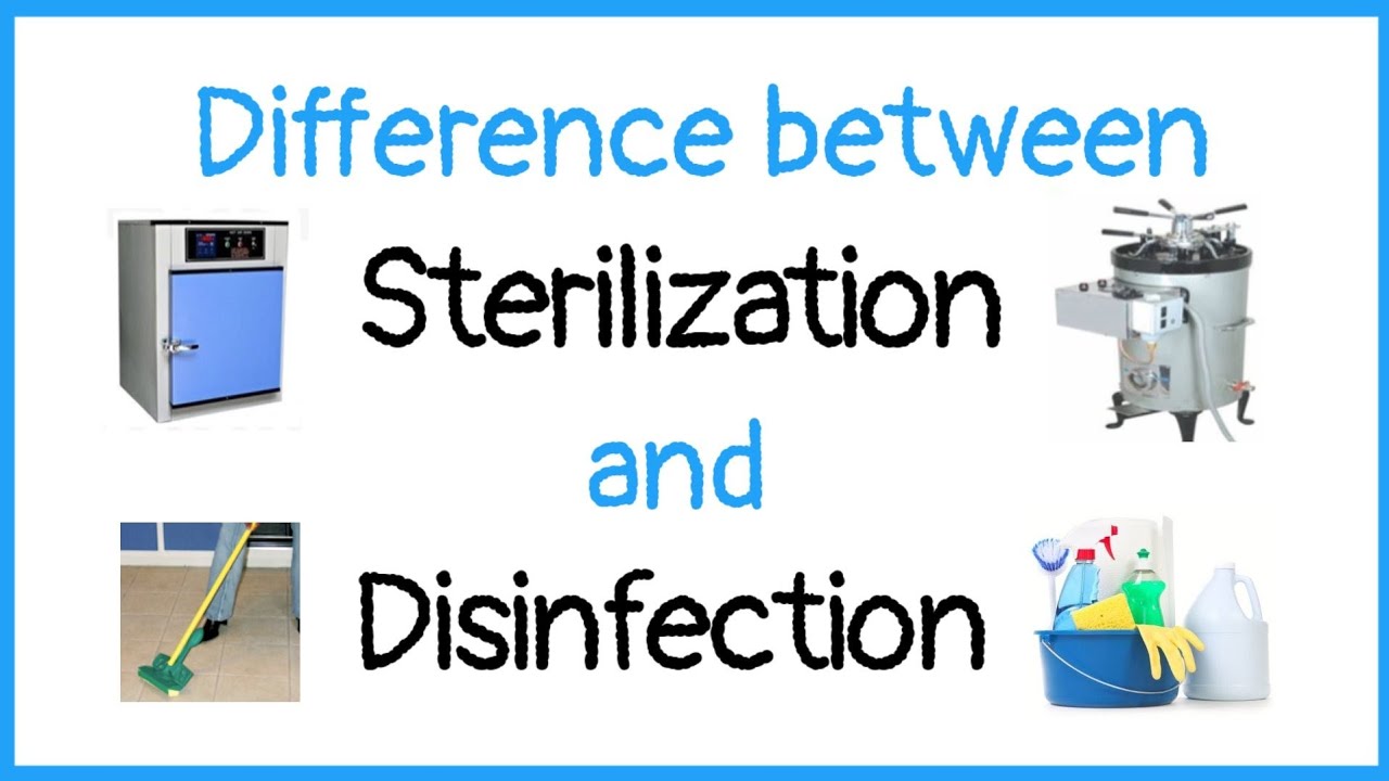What is the difference between disinfection and sterilization? Open Lsp