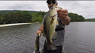The BLOWUPS Wouldn't STOP!!! (A MUST SEE Morning of Topwater Bass Fishing )
