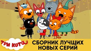 Три Кота | Сборник лучших новых серий | Мультфильмы для детей???