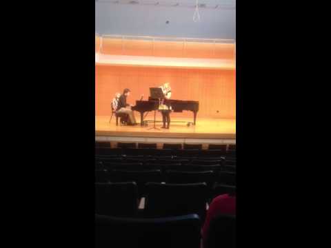 Crusell's introduction, theme and variation