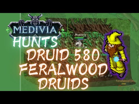 DRUID 580 AT FERALWOOD DRUIDS - MEDIVIA ONLINE
