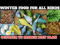 Boost Your Bird S Health With This 7 Day Winter Diet Plan Breeding Formula And Softfood
