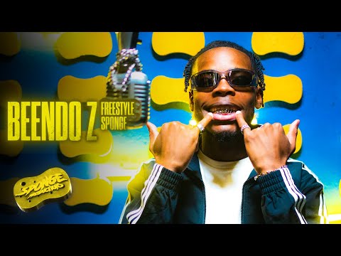 Video thumbnail for BEENDO Z FREESTYLE SPONGE