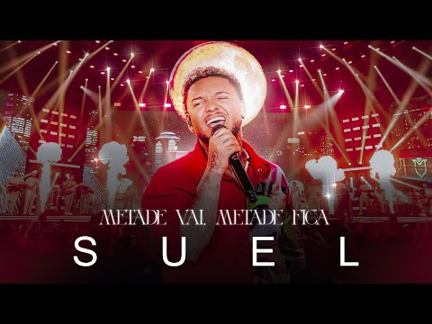 Suel - Metade Vai, Metade Fica (Letra / Lyrics Video)