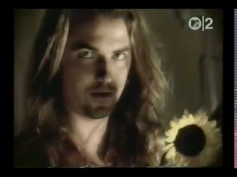 Should She Cry - Wire Train