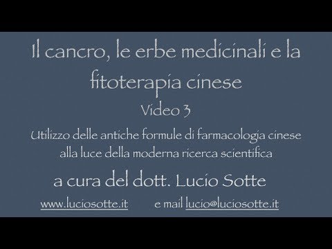 Unguento della colonna vertebrale toracica osteocondrosi Anatomia umana dellarticolazione dellanca