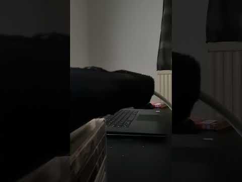 #reels2024 New physical media arrival today mean girls  2024 enjoy 😉 #subscribe