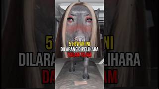 Download lagu Part 2 - Hewan yang dilarang dipelihara dalam islam mp3