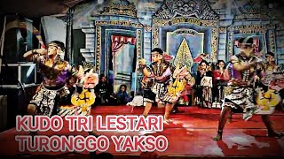 Download lagu Kudo tri lestari  mp3