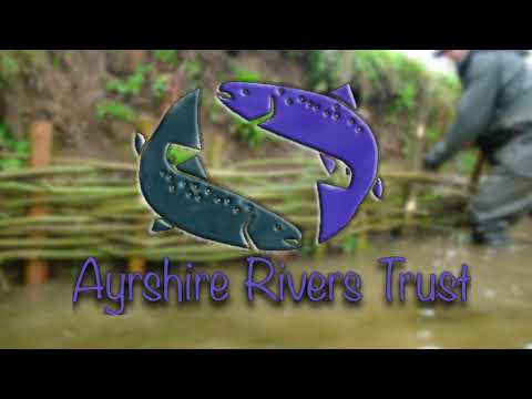Ayrshire Rivers Trust - willow weaving, a how too!