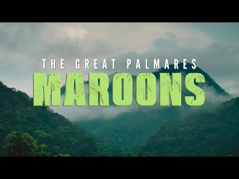 DOCUMENTARY: MAROONS - THE GREAT PALMARES