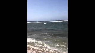 preview picture of video 'Una playa en Bajura de Isabela, Puerto Rico'