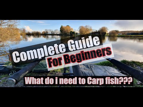 **Carp Fishing** Beginners guide to carp fishing - [Links below]
