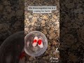 For Anyone Struggling With Self Harm ️