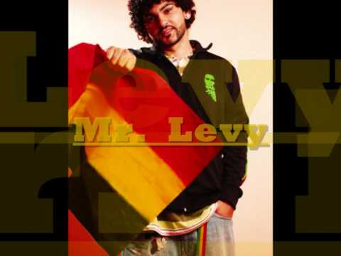 Mr. Levy