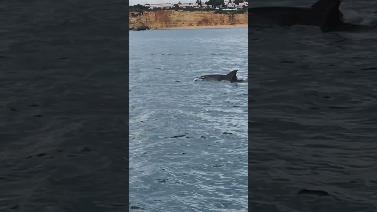 YouTube Short thumbnail