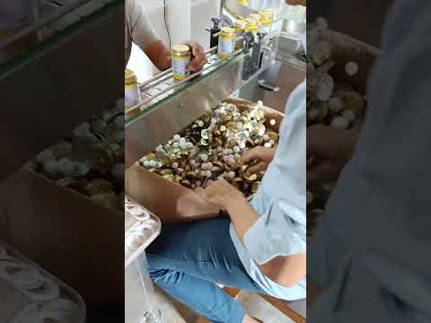 Super Strong CPVC Adhesive