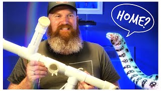 We Build a Snowflake Eel Tunnel - Gordon’s Red Sea Reefer 250 Update