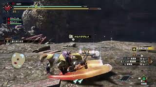 テスト配信
