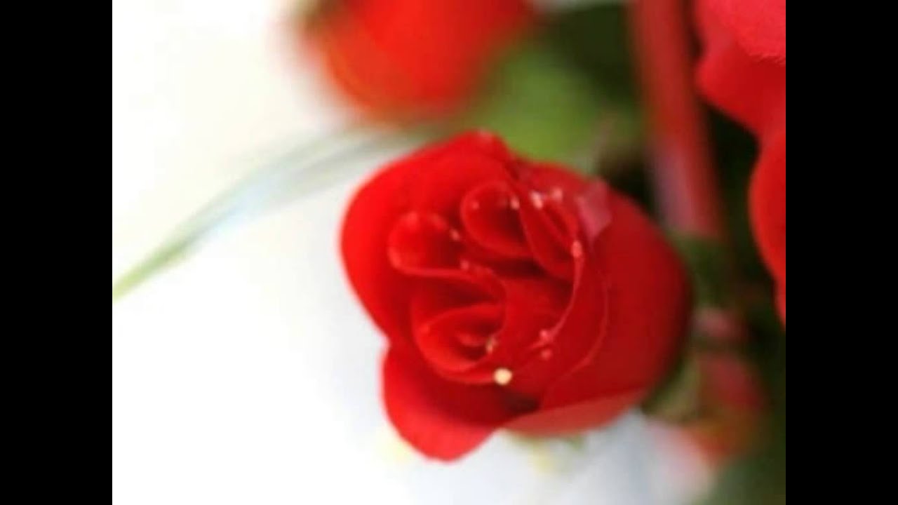 Aajaa Mere Lyrics | Jaadu | Kumar Sanu | Nadeem Shravan