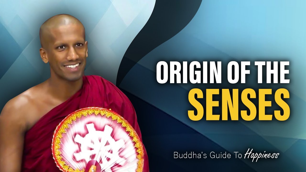 Origin of the Senses