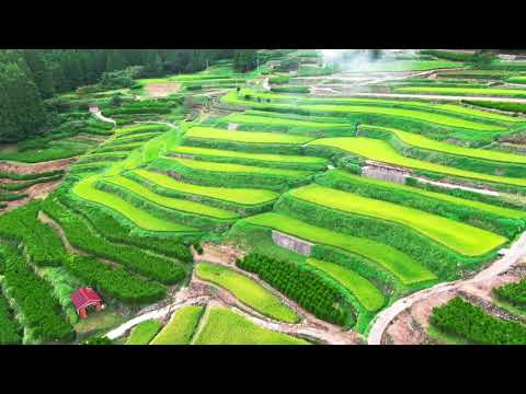 星野村の棚田@福岡県八女市【福岡観光紹介ショートムービー】