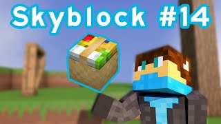 Basket of seeds -  Hypixel Skyblock #14