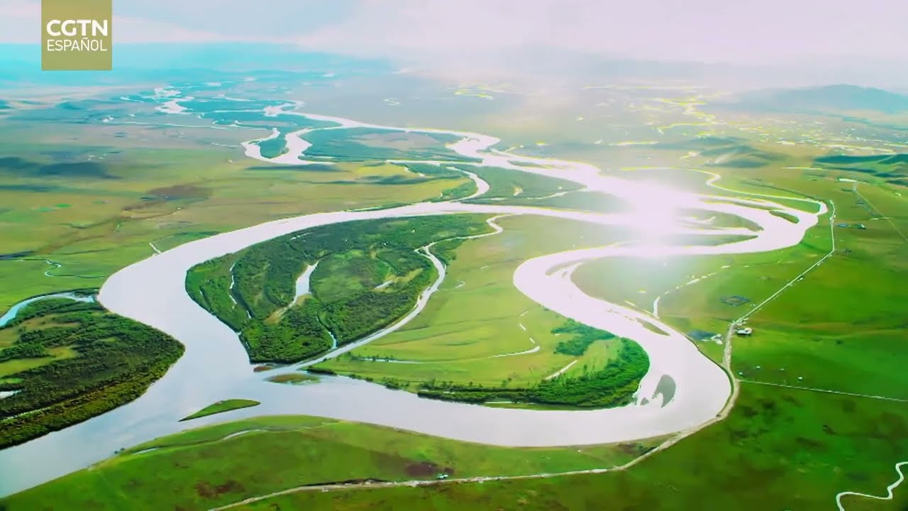 Una China hermosa | Los bosques de China: sumideros de carbono fiables