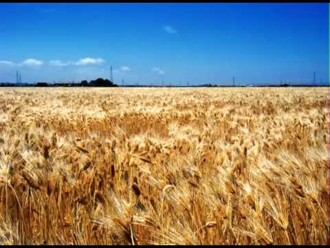 Тарас Петриненко, Тетяна Горобець  -  Прапор України