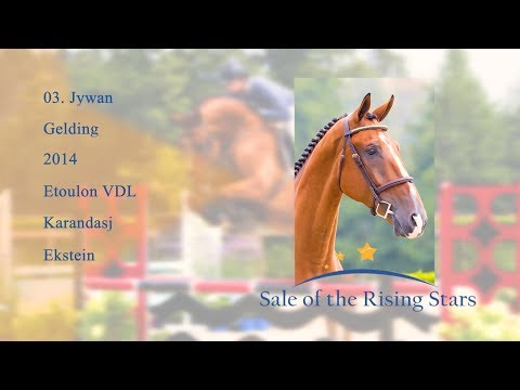 Jywan (Etoulon VDL x Karandasj)