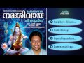 നമഃശിവായ NAMASIVAYA Hindu Devotional Songs Malayalam Siva Songs